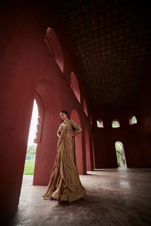 Drape saree